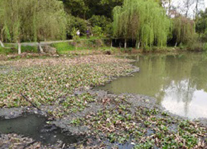 �ڳ�ˮ�彨��